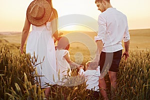 View from behind. Family of four people spending free time on the field at sunny day time of summer