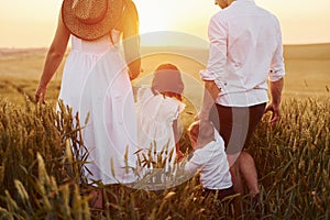 View from behind. Family of four people spending free time on the field at sunny day time of summer