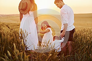 View from behind. Family of four people spending free time on the field at sunny day time of summer