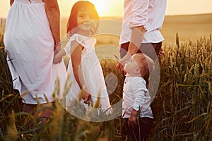 View from behind. Family of four people spending free time on the field at sunny day time of summer