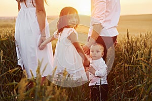 View from behind. Family of four people spending free time on the field at sunny day time of summer