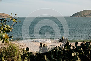 View from behind greenery of a person standing alone on the beachline looking at the sea