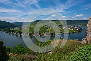 View of Beilstein from the tower of the castle Metternich