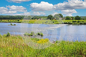 View from belgian border over river Maas rapids for rafting on dutch riverfront, idyllic rural landscape - Maasvallei, Limburg,