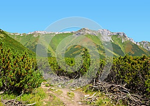 View of the Belianske Tatry Mountains