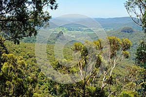 View from Bellbird Lookout in Lamington National Park, Australia