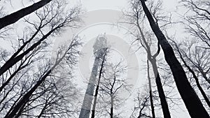 View from below on a pole with repeaters and transmitters of cellular communication among trees in a gloomy forest in