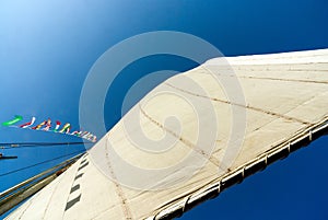 View from below of the unfurled sail of a boat called felucca, typical of the Nile River