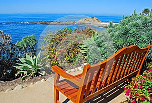 View bench overlooking Treasure Island Beach below Montage Resort