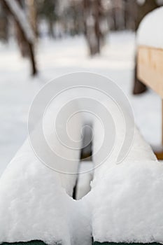 View of a bench in winter park
