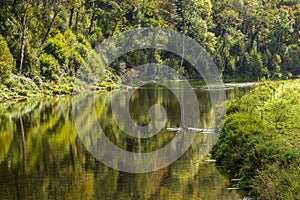 View on a bend along the river Semois