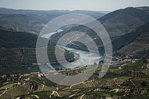 A view of the bends of the Douro River in the Douro Valley, Portugal.