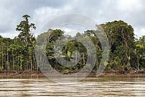 View of Beni river and rainforest of Madidi national park in the upper Amazon river basin in Bolivia, South America