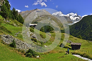 View of Berner Oberland from Zum See village from the bottom of Matterhorn photo