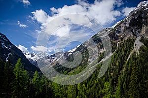 View from the Bernina Express