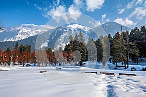 View of Betab Valley in winter season, near Pahalgam, Kashmir, India