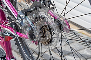 View of a bicycle rear gear cogs