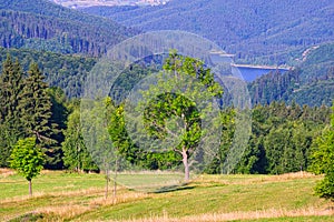 View from Biele Vody settlement in Polana mountains