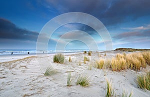 View on big beach on Schiermonnikoog photo