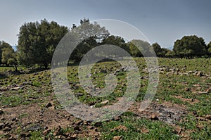 View of the Big Jupta the Golan Heights, pit crater in Odem Forest, Northern Israel