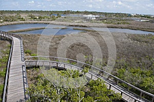 A view of Big Lagoon State Park overlooking the boardwalk in Pensaocla, Florida