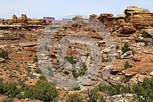 The view from Big Spring Canyon Overlook