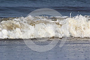 View on big struggled waves at the northern sea at juist