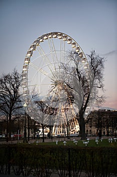 View of The Big Wheel in Tuileries Garden