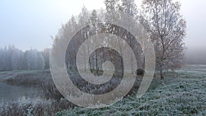 View of the birch alley in the foggy October frost. Petrovskoye, Pushkinskie Gory. Russia