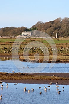 View from bird hide, Leighton Moss nature reserve photo