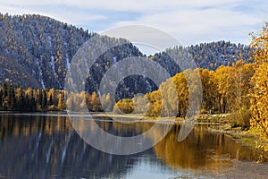 View of the Biya River with autumn taiga on the banks and reflection in the water.