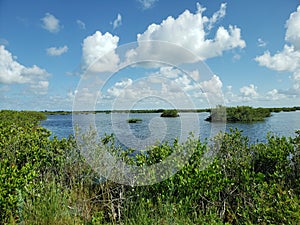View at Black Point Wildlife Drive, Merritt Island National Wildlife Refuge, Florida