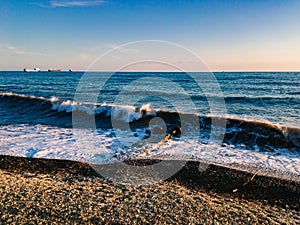 View of the Black Sea, waves with sea foam.