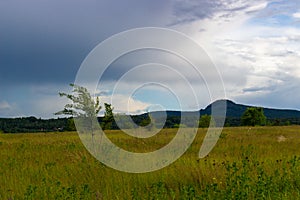 View of Black Sopka in summer