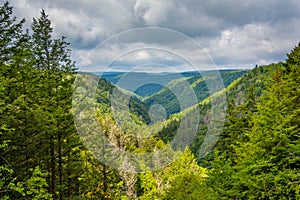 A view of the Blackwater Canyon, at Blackwater Falls State Park, West Virginia