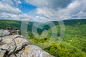 View of the Blackwater Canyon from Lindy Point, at Blackwater Falls State Park, West Virginia