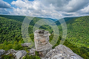 View of the Blackwater Canyon from Lindy Point, at Blackwater Falls State Park, West Virginia