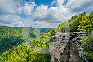 View of the Blackwater Canyon from Lindy Point, at Blackwater Falls State Park, West Virginia