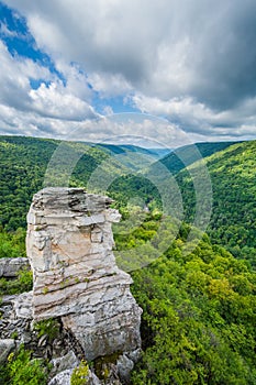 View of the Blackwater Canyon from Lindy Point, at Blackwater Falls State Park, West Virginia