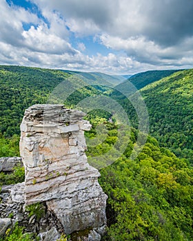 View of the Blackwater Canyon from Lindy Point, at Blackwater Falls State Park, West Virginia