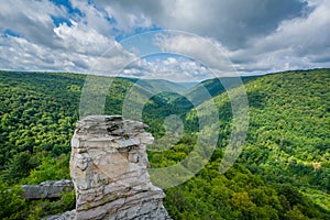 View of the Blackwater Canyon from Lindy Point, at Blackwater Falls State Park, West Virginia