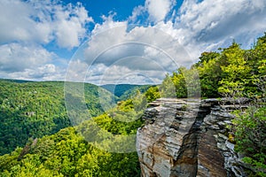 View of the Blackwater Canyon from Lindy Point, at Blackwater Falls State Park, West Virginia