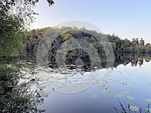 A view of Blake Mere Lake near Ellesmere