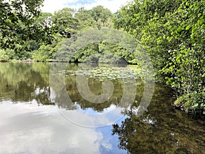 A view of Blake Mere Lake near Ellesmere