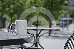A blank white coffee mug on the park tables