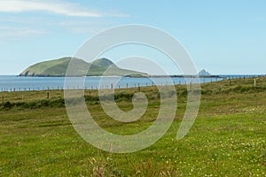 View of the Blasket Islands