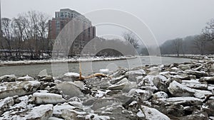 Broken ice on the shore photo