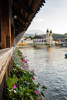 View of blooming Pelargonium flower rows from the famous Chapel Bridge in Lucerne Switzerland