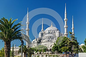 View of the Blue Mosque in Istanbul, Turkey