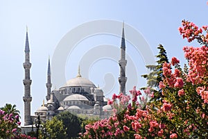 View of the Blue Mosque Sultanahmet Camii in Istanbul, Turkey photo